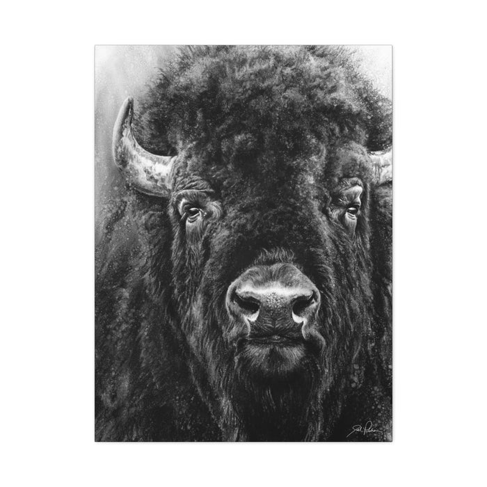 "Tatanka" Stretched Canvas