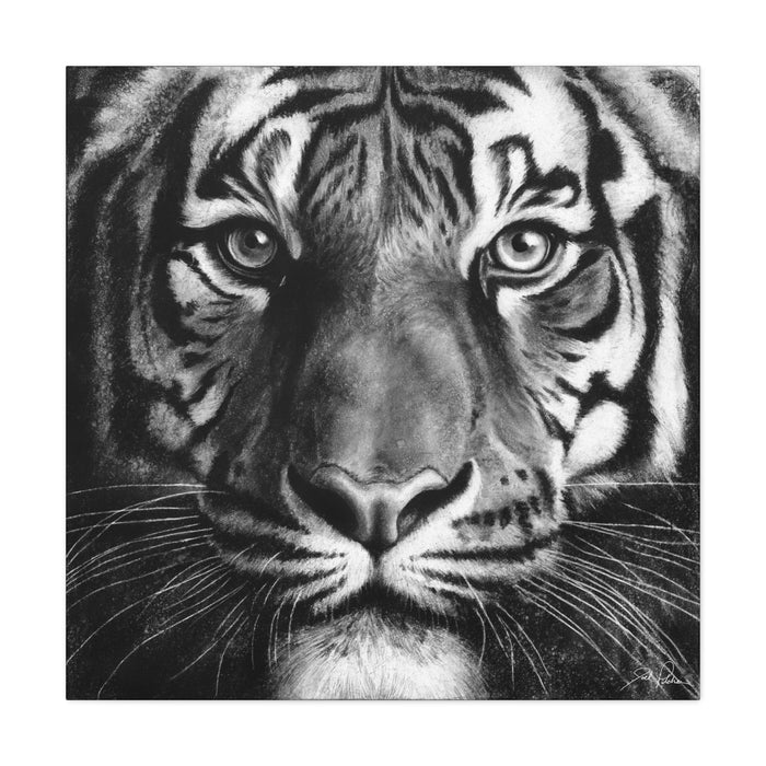 "Tiger" Stretched Canvas