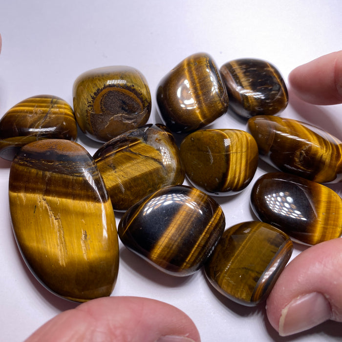 Tigers-Eye