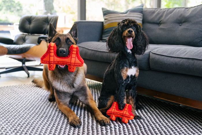 P.L.A.Y. Totally Touristy Golden Gate Bridge Dog Toy - both sizes of toys pictured with big and little dogs
