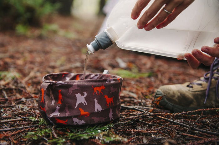 Gallery: Travel Bowl PY6005ASF