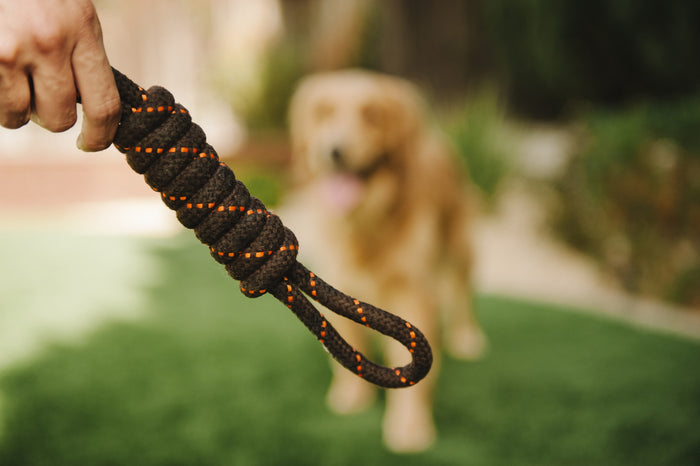 Gallery: Tug Rope Toy PY7037BSF
