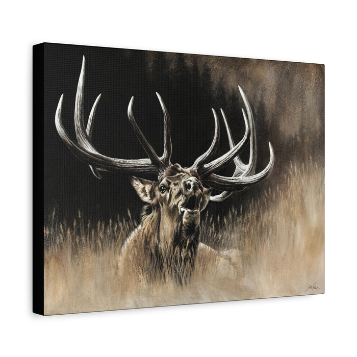 "Wake Up Call" Stretched Canvas