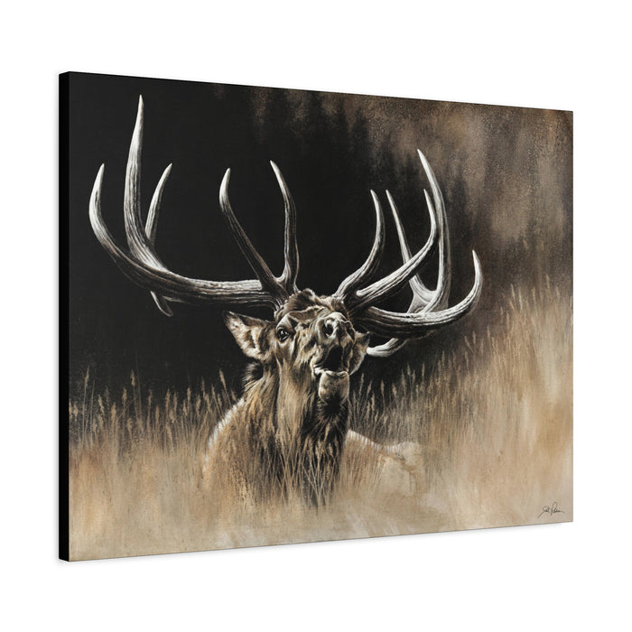 "Wake Up Call" Stretched Canvas