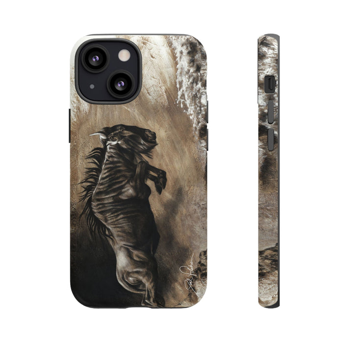 iPhone 13 Mini / Matte
